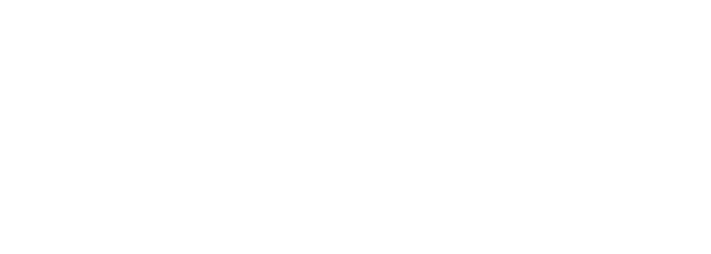 Pydantic logo